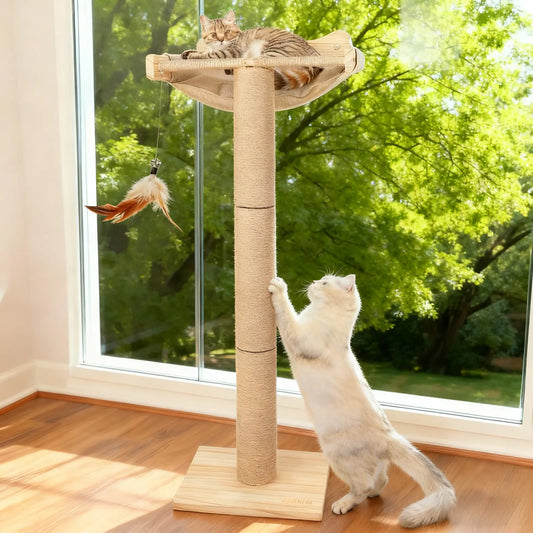Cat Window Perch Hammock with 3-Piece Detachable Roman Column Sisal Scratching Posts, Drill-Free Suction Cup Mount, Extra Large for Large Cats & Maine Coons